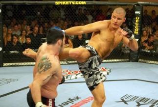 Bisping vs. Haynes TUF 3 Finale