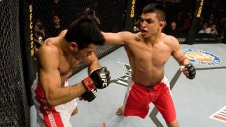 The Ultimate Fighter Finale Efrain Escudero vs Phillipe Nover