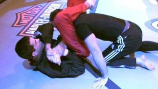 Octagon Warmup