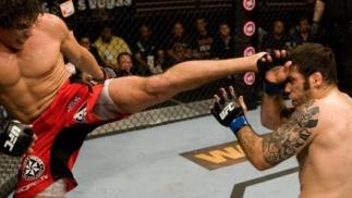 The Ultimate Fighter Finale Diego Sanchez vs Luigi Fioravanti
