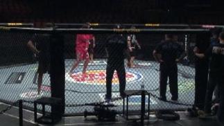 TUF 9 Octagon Warm Up