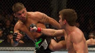 Stephens vs Stout