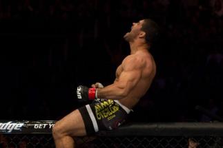 ufc111_03_palhares_vs_drwal_003