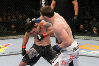 UFC 123: Dennis Hallman vs. Karo Parisyan