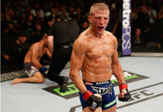SACRAMENTO, CA - AUGUST 30: T.J. Dillashaw celebrates after his knockout victory over Joe Soto in their UFC bantamweight championship bout during the UFC 177 event at Sleep Train Arena on August 30, 2014 in Sacramento, California. (Photo by Josh Hedges/