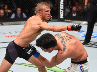 BOSTON, MA - JANUARY 17: (R-L) Dominick Cruz slips a punch by TJ Dillashaw in their UFC bantamweight championship bout during the UFC Fight Night event inside TD Garden on January 17, 2016 in Boston, Massachusetts. (Photo by Jeff Bottari/Zuffa LLC/Zuffa