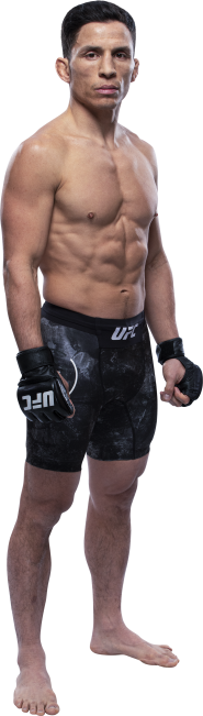 UFC Fight Night: Benavidez vs. Figueiredo Picks
