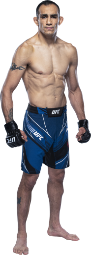 horario ufc 262