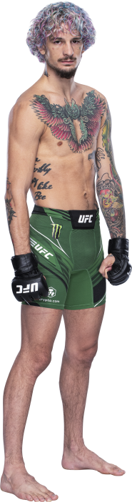 Ufc Fight Night Montano Vs Modafferi Ufc