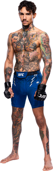Andre Fili