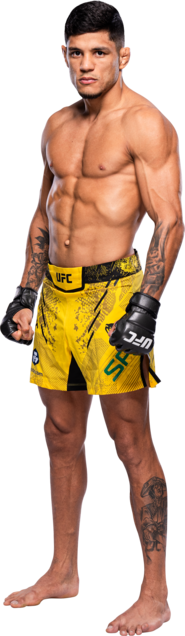 Gabriel Santos