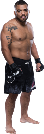 Ufc Fight Night Thompson Vs Neal Ufc
