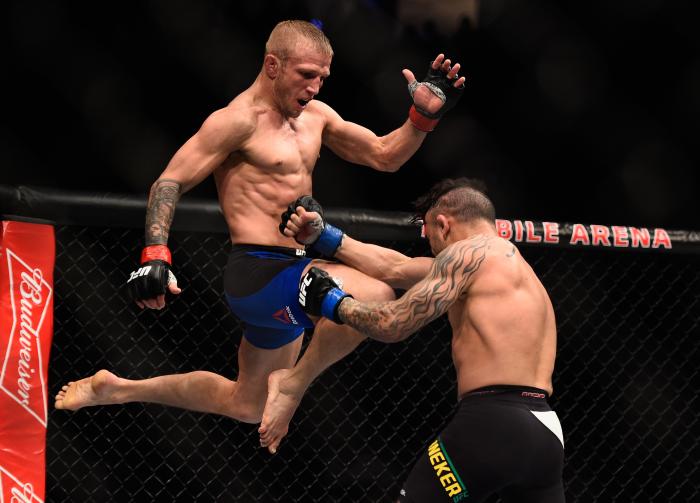 UFC 207: Dillashaw v Lineker