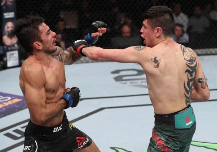 Brandon Moreno: From TUF To Champion