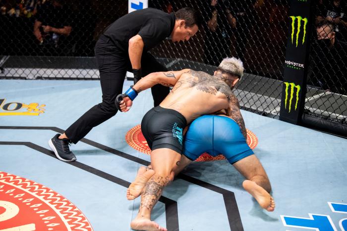 TUF 29 Episode 9: Murdock v Lampros