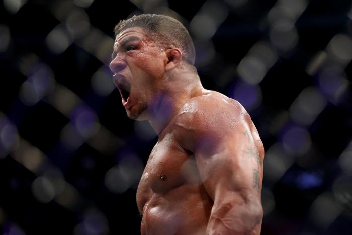 UFC 264 Best Images
