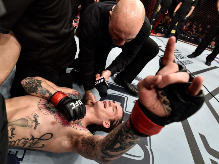 LAS VEGAS, NV - MARCH 03:   Sean O'Malley is interviewed by Joe Rogan after his unanimous-decision victory over Andre Soukhamthath in their bantamweight bout during the UFC 222 event inside T-Mobile Arena on March 3, 2018 in Las Vegas, Nevada. (Photo by J