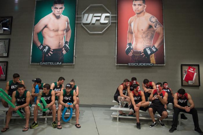 LAS VEGAS, NV - MARCH 24: Team Gastelum and team Escudero wait for the fight to begin during the filming of The Ultimate Fighter Latin America: Team Gastelum vs Team Escudero on March 24, 2015 in Las Vegas, Nevada. (Photo by Brandon Magnus/Zuffa LLC/Zuf