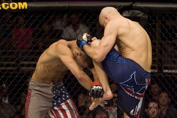 The Ultimate Fighter Finale James Wilks vs Damarques Johnson