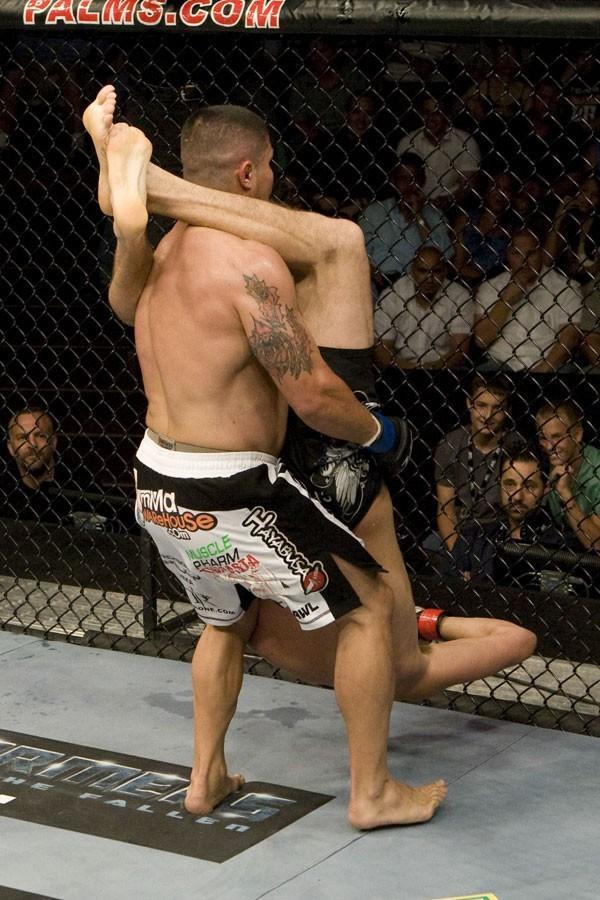 The Ultimate Fighter Finale Joe Stevenson vs Nate Diaz