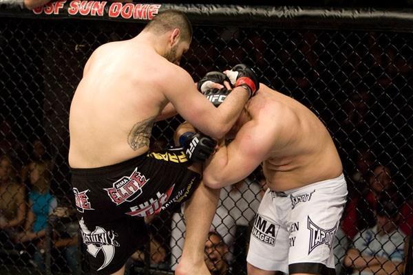 UFC Fight Night Cain Velasquez vs Denis Stojnic