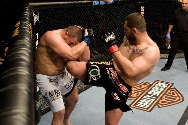 UFC Fight Night Cain Velasquez vs Denis Stojnic