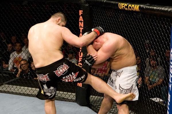 UFC Fight Night Cain Velasquez vs Denis Stojnic