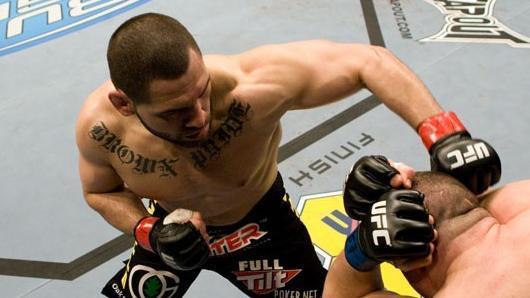 UFC Fight Night Cain Velasquez vs Denis Stojnic