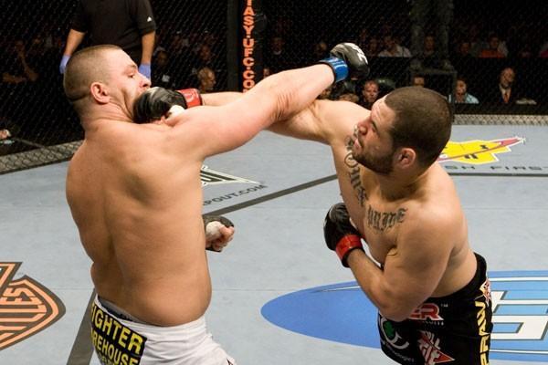 UFC Fight Night Cain Velasquez vs Denis Stojnic