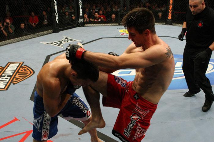 Ufc Fight Night Live Ufc