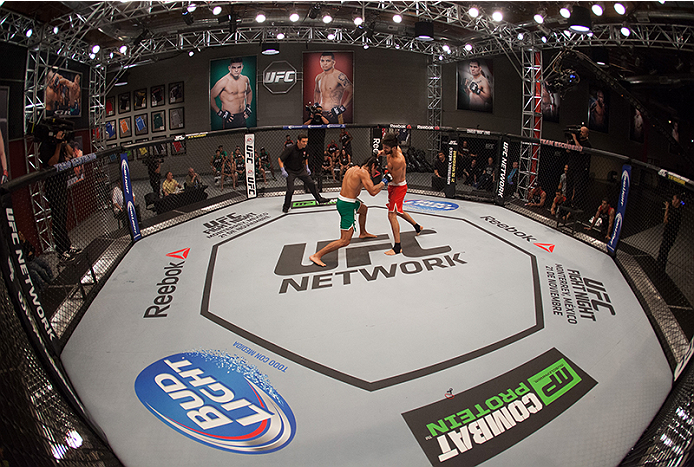 LAS VEGAS, NV - MARCH 27:  (R-L)Horacio Gutierrez punches Danny Salas during the filming of The Ultimate Fighter Latin America: Team Gastelum vs Team Escudero  on March 27, 2015 in Las Vegas, Nevada. (Photo by Brandon Magnus/Zuffa LLC/Zuffa LLC via Getty 