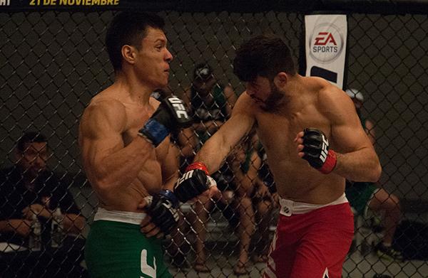 LAS VEGAS, NV - APRIL 14: (R-L) Polo Reyes punches Christhian Soto during the filming of The Ultimate Fighter Latin America: Team Gastelum vs Team Escudero on April 14, 2015 in Las Vegas, Nevada. (Photo by Brandon Magnus/Zuffa LLC/Zuffa LLC via Getty Im
