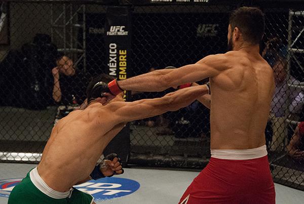 LAS VEGAS, NV - APRIL 14:  (L-R) Christhian Soto punches Polo Reyes during the filming of The Ultimate Fighter Latin America: Team Gastelum vs Team Escudero  on April 14, 2015 in Las Vegas, Nevada. (Photo by Brandon Magnus/Zuffa LLC/Zuffa LLC via Getty Im