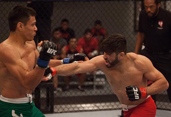 LAS VEGAS, NV - APRIL 14: (R-L) Polo Reyes punches Christhian Soto during the filming of The Ultimate Fighter Latin America: Team Gastelum vs Team Escudero on April 14, 2015 in Las Vegas, Nevada. (Photo by Brandon Magnus/Zuffa LLC/Zuffa LLC via Getty Im