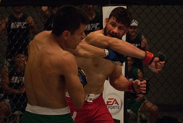 LAS VEGAS, NV - APRIL 14: (R-L) Polo Reyes punches Christhian Soto during the filming of The Ultimate Fighter Latin America: Team Gastelum vs Team Escudero on April 14, 2015 in Las Vegas, Nevada. (Photo by Brandon Magnus/Zuffa LLC/Zuffa LLC via Getty Im