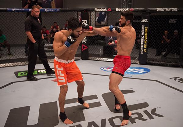 LAS VEGAS, NV - APRIL 21: (L-R) Horacio Gutrierrez punches Polo Reyes in their semi-finals fight during the filming of The Ultimate Fighter Latin America: Team Gastelum vs Team Escudero on April 21, 2015 in Las Vegas, Nevada. (Photo by Brandon Magnus/Zuf