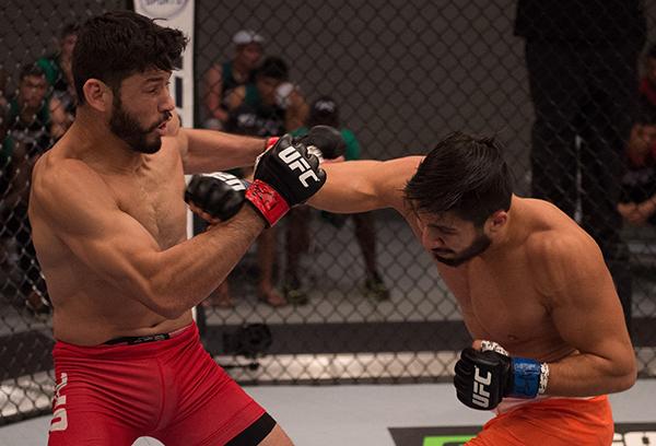 LAS VEGAS, NV - APRIL 21: (R-L) Horacio Gutrierrez punches Polo Reyes in their semi-finals fight during the filming of The Ultimate Fighter Latin America: Team Gastelum vs Team Escudero on April 21, 2015 in Las Vegas, Nevada. (Photo by Brandon Magnus/Zuf