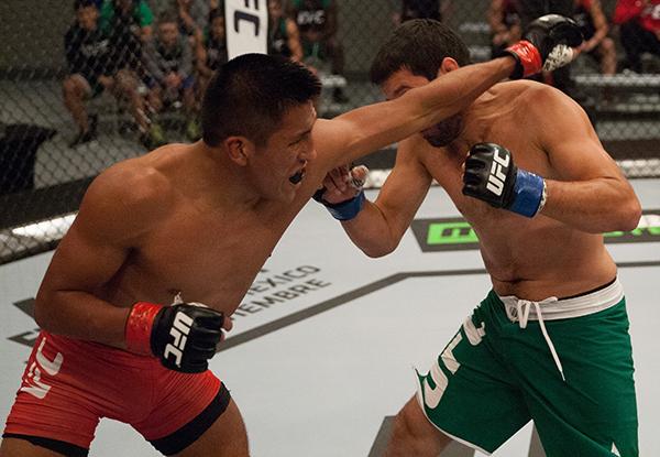 LAS VEGAS, NV - APRIL 7: (L-R) Enrique Barzola punches Jonathan Ortega during the filming of The Ultimate Fighter Latin America: Team Gastelum vs Team Escudero on April 7, 2015 in Las Vegas, Nevada. (Photo by Brandon Magnus/Zuffa LLC/Zuffa LLC via Getty