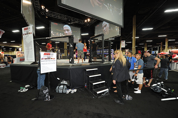 LAS VEGAS, NV - JULY 06: Fans enter the Octagon at the UFC Fan Expo on July 6, 2012 in Las Vegas, Nevada. (Photo by Al Powers /Zuffa LLC/Zuffa LLC via Getty Images)