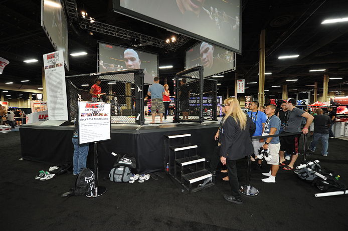 LAS VEGAS, NV - JULY 06:  Fans enter the Octagon at the UFC Fan Expo on July 6, 2012 in Las Vegas, Nevada. (Photo by Al Powers /Zuffa LLC/Zuffa LLC via Getty Images) 