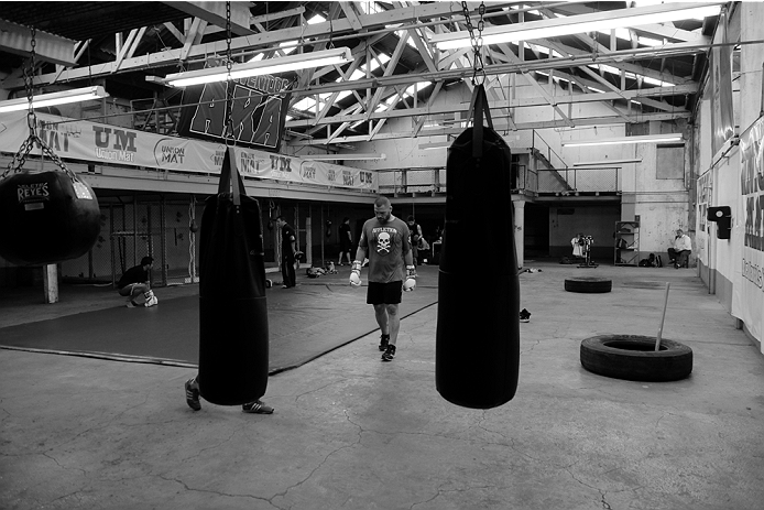 UFC 188 Cain Velasquez, Gabriel Moggly Benitez, Alejandro Diablito Perez