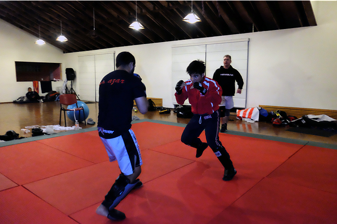 UFC 188 Henry Cejudo and Patrick Williams