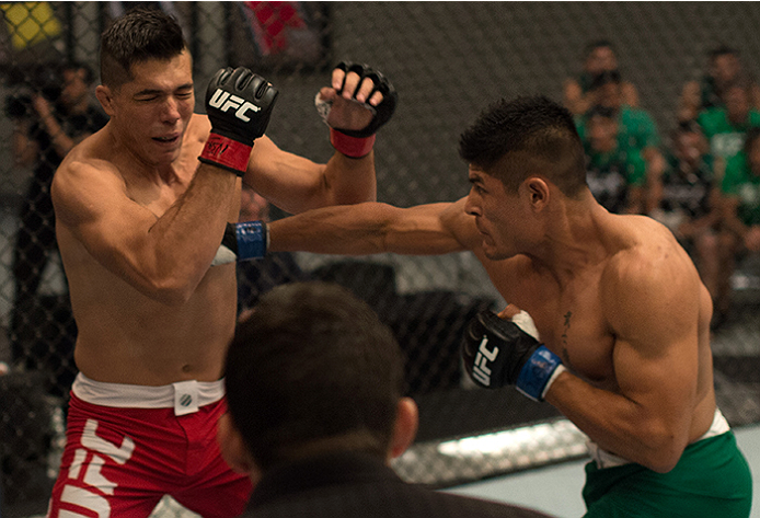 LAS VEGAS, NV - APRIL 10: (R-L) Hector Aldana punches Alvaro Herrera during the filming of The Ultimate Fighter Latin America: Team Gastelum vs Team Escudero on April 10, 2015 in Las Vegas, Nevada. (Photo by Brandon Magnus/Zuffa LLC/Zuffa LLC via Getty