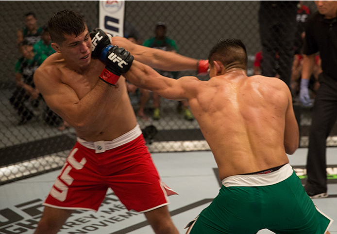 LAS VEGAS, NV - APRIL 10: (R-L) Hector Aldana punches Alvaro Herrera during the filming of The Ultimate Fighter Latin America: Team Gastelum vs Team Escudero on April 10, 2015 in Las Vegas, Nevada. (Photo by Brandon Magnus/Zuffa LLC/Zuffa LLC via Getty