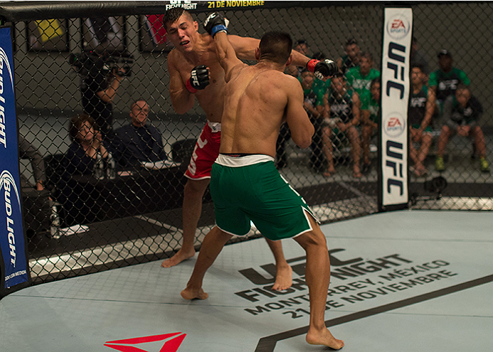LAS VEGAS, NV - APRIL 10: (R-L) Hector Aldana punches Alvaro Herrera during the filming of The Ultimate Fighter Latin America: Team Gastelum vs Team Escudero on April 10, 2015 in Las Vegas, Nevada. (Photo by Brandon Magnus/Zuffa LLC/Zuffa LLC via Getty