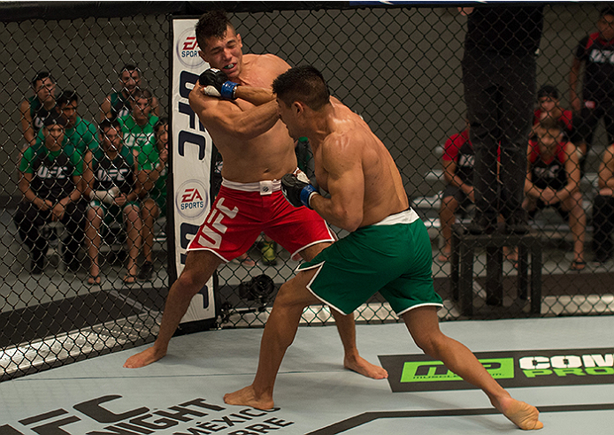 LAS VEGAS, NV - APRIL 10: (R-L) Hector Aldana punches Alvaro Herrera during the filming of The Ultimate Fighter Latin America: Team Gastelum vs Team Escudero on April 10, 2015 in Las Vegas, Nevada. (Photo by Brandon Magnus/Zuffa LLC/Zuffa LLC via Getty