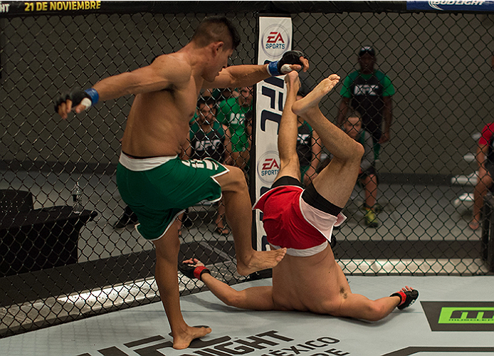 LAS VEGAS, NV - APRIL 10: (L-R) Hector Aldana kicks Alvaro Herrera during the filming of The Ultimate Fighter Latin America: Team Gastelum vs Team Escudero on April 10, 2015 in Las Vegas, Nevada. (Photo by Brandon Magnus/Zuffa LLC/Zuffa LLC via Getty Im