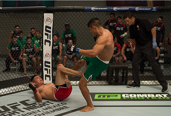 LAS VEGAS, NV - APRIL 10: (R-L) Hector Aldana kicks Alvaro Herrera during the filming of The Ultimate Fighter Latin America: Team Gastelum vs Team Escudero on April 10, 2015 in Las Vegas, Nevada. (Photo by Brandon Magnus/Zuffa LLC/Zuffa LLC via Getty Im