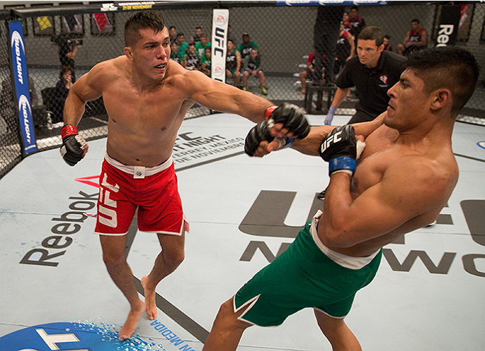 LAS VEGAS, NV - APRIL 10: (R-L) Alvaro Herrera punches Hector Aldana during the filming of The Ultimate Fighter Latin America: Team Gastelum vs Team Escudero on April 10, 2015 in Las Vegas, Nevada. (Photo by Brandon Magnus/Zuffa LLC/Zuffa LLC via Getty