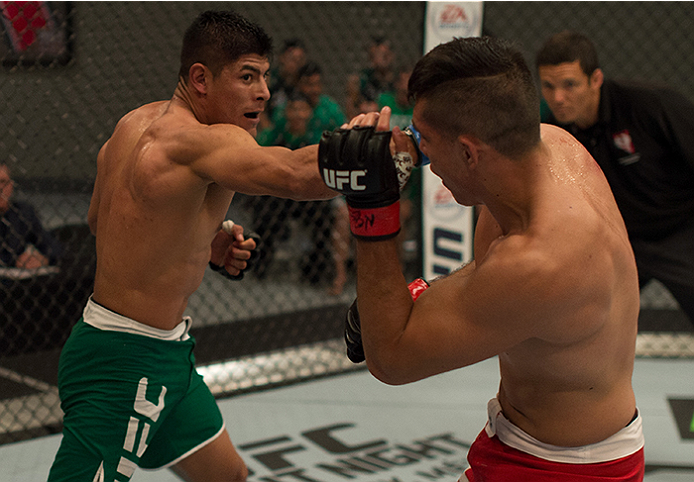 LAS VEGAS, NV - APRIL 10: (L-R) Hector Aldana punches Alvaro Herrera during the filming of The Ultimate Fighter Latin America: Team Gastelum vs Team Escudero on April 10, 2015 in Las Vegas, Nevada. (Photo by Brandon Magnus/Zuffa LLC/Zuffa LLC via Getty